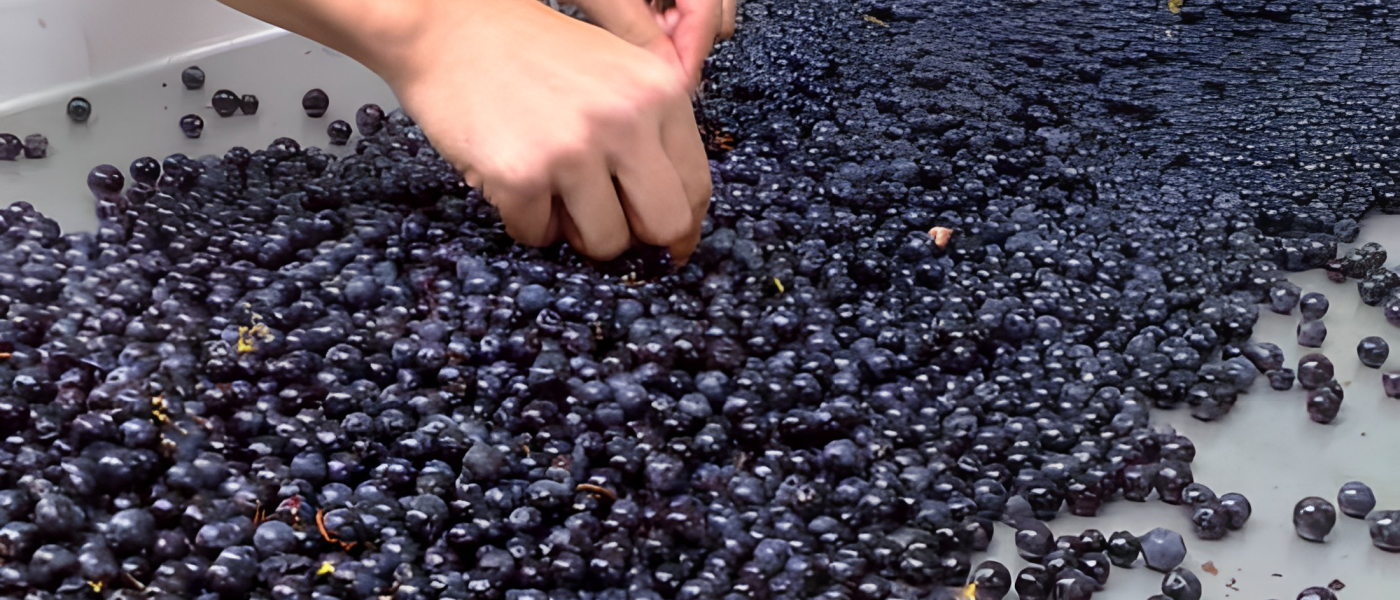 envato-labs-image-edit (17)